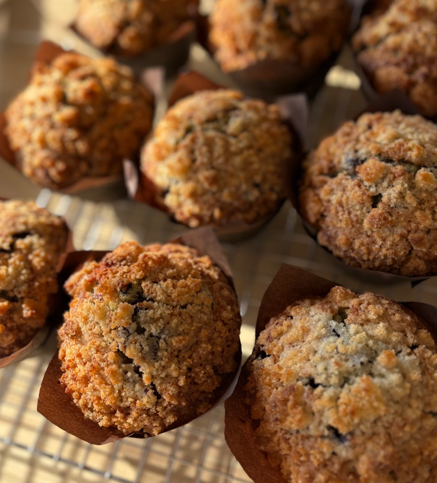 Wild Blueberry & Lemon Sourdough Muffins